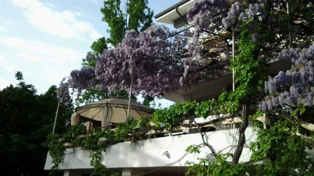 Hotel Ristorante Sole Múggia Eksteriør billede